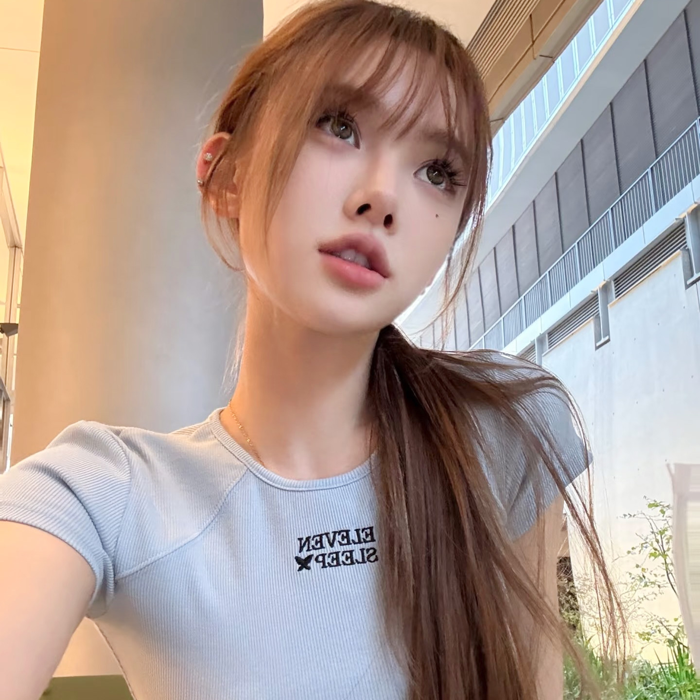 King Charles Cavalier